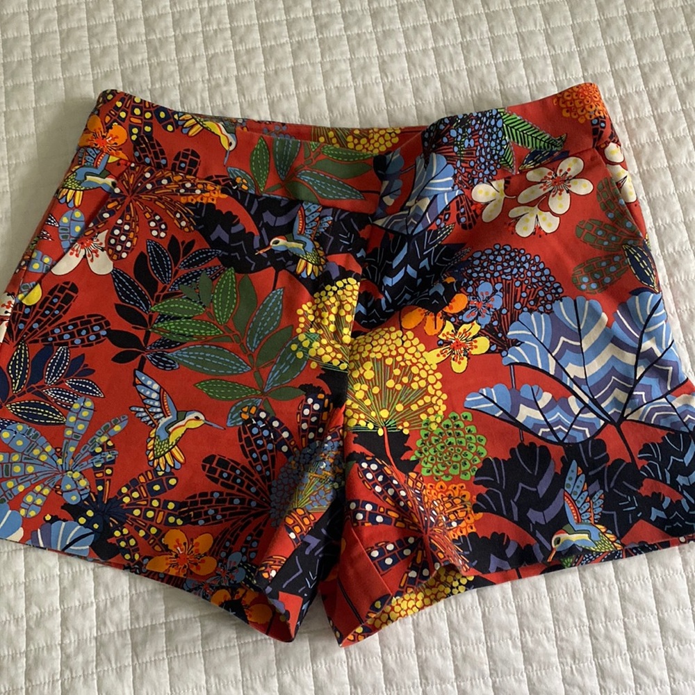 Loft shorts